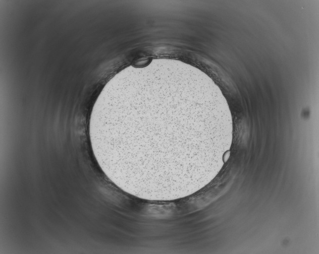 X0000116600571201001081152