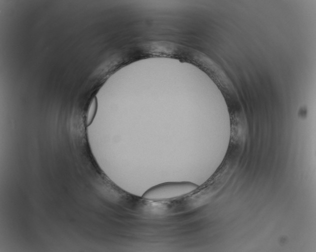 X0000116600573201001081152