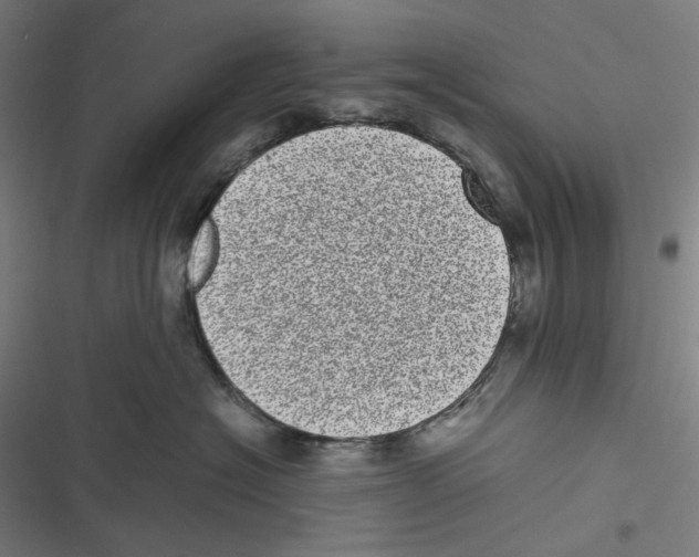 X0000116600574201001081152