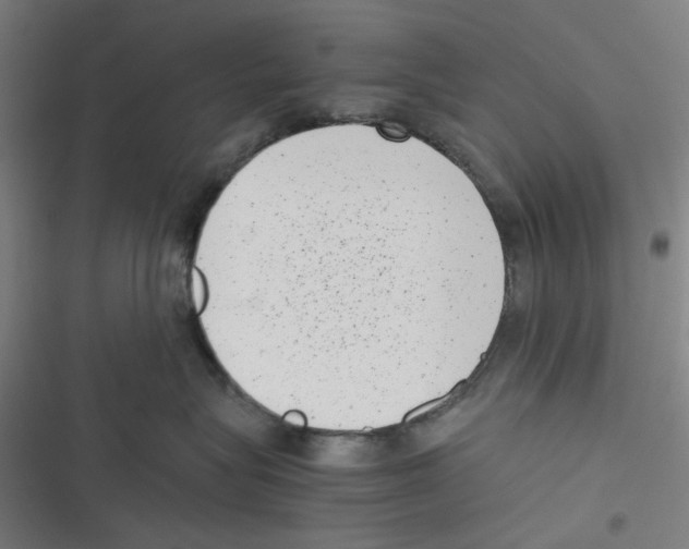 X0000116600575201001081152