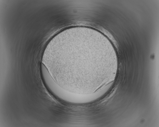 X0000116600577201001081151