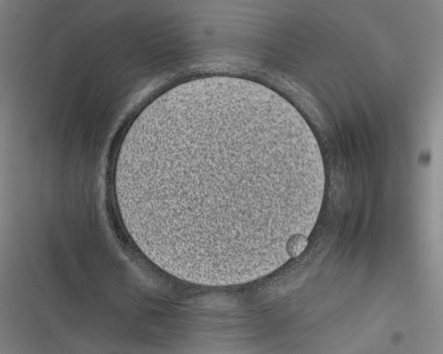 X0000116600578201001081151