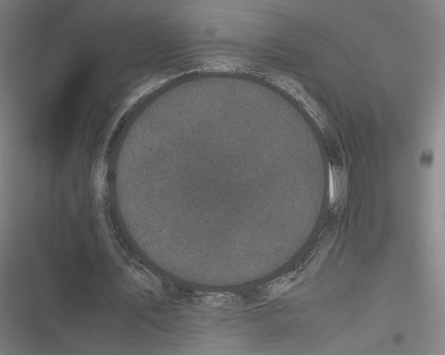 X0000116600579201001081151