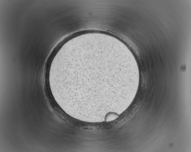 X0000116600580201001081151