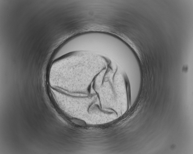X0000116600581201001081151