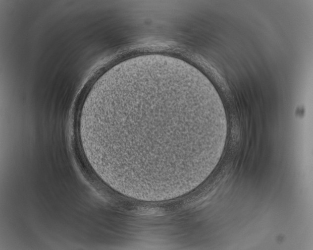 X0000116600582201001081151