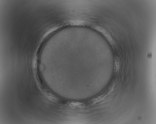 X0000116600583201001081151