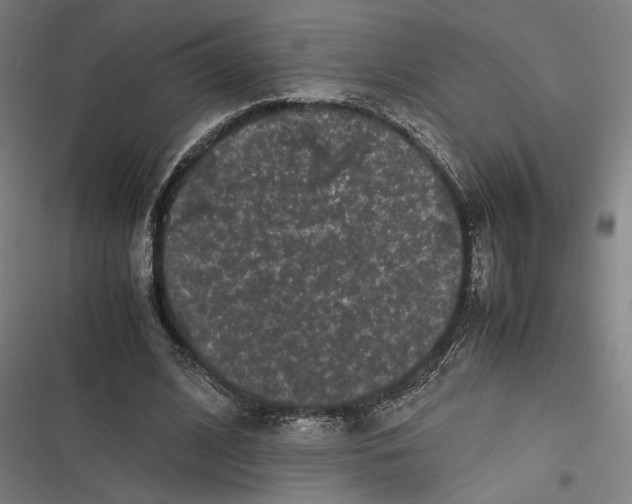 X0000116600584201001081151