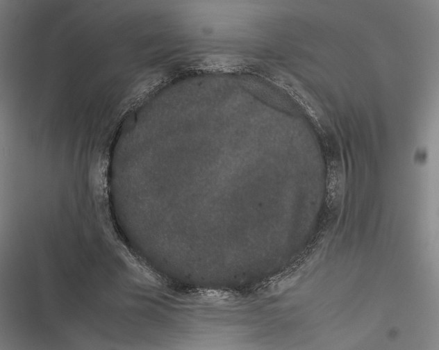 X0000116600585201001081151