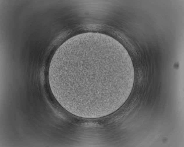 X0000116600586201001081151