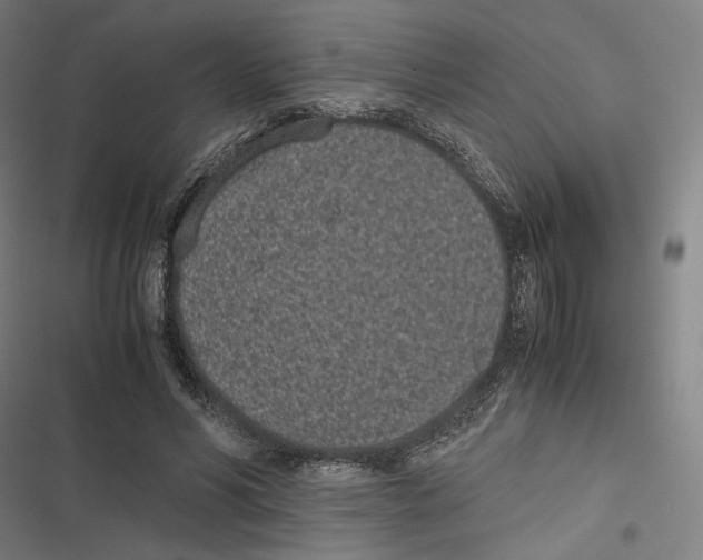 X0000116600590201001081151