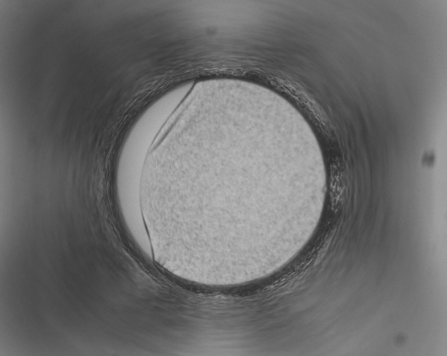 X0000116600593201001081151