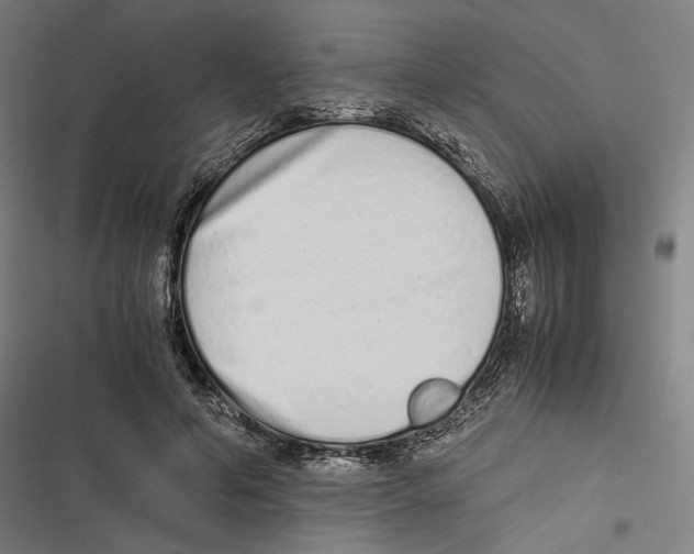 X0000116600594201001081151
