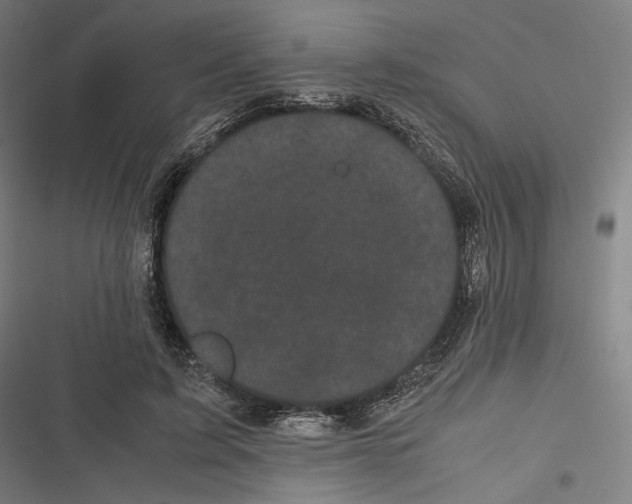 X0000116600595201001081151