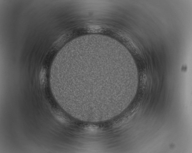 X0000116600598201001081151