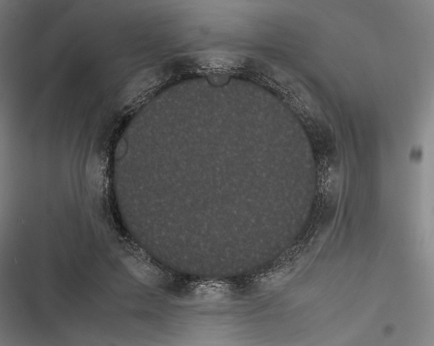 X0000116600599201001081151