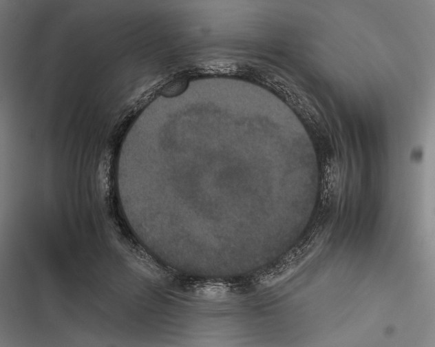 X0000116600600201001081151