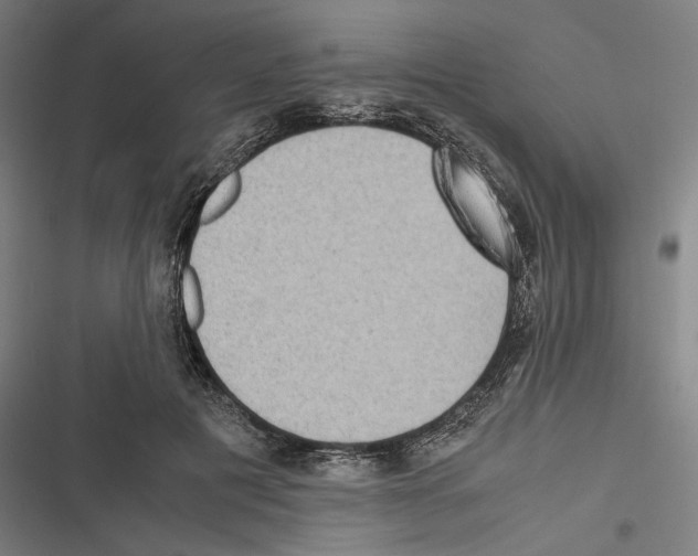 X0000116600601201001081151