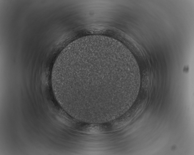 X0000116600604201001081151