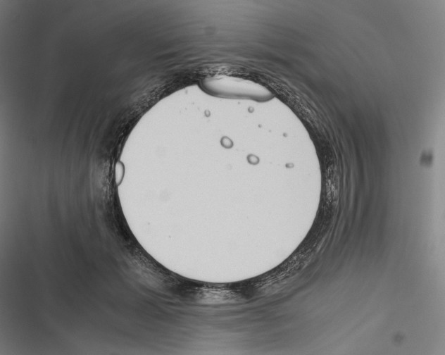 X0000116600605201001081151