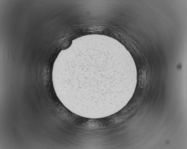X0000116600608201001081151
