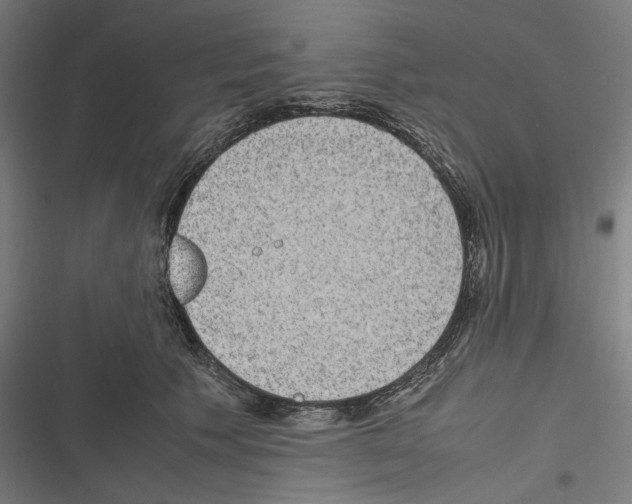 X0000116600609201001081151