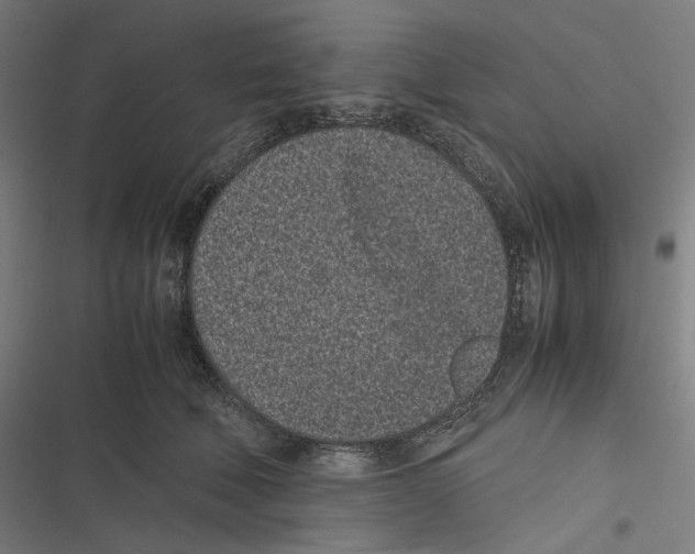 X0000116600610201001081151