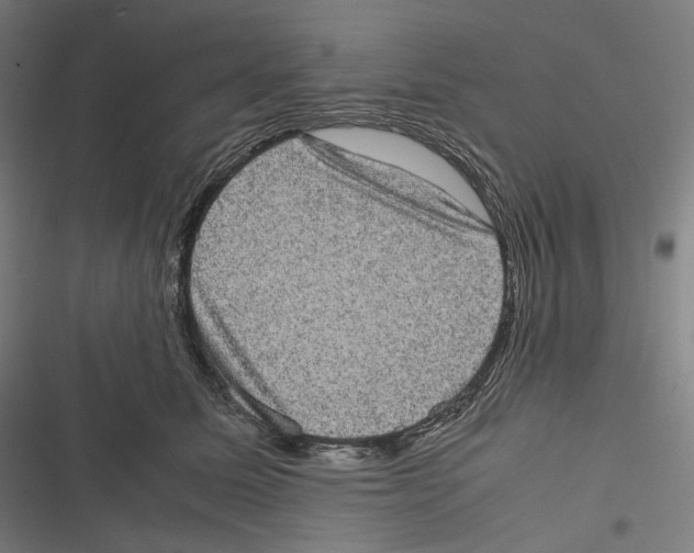 X0000116600611201001081151