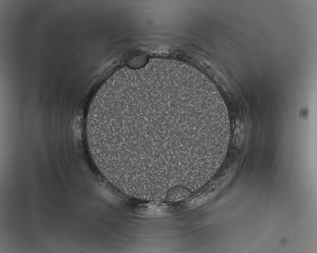 X0000116600612201001081151
