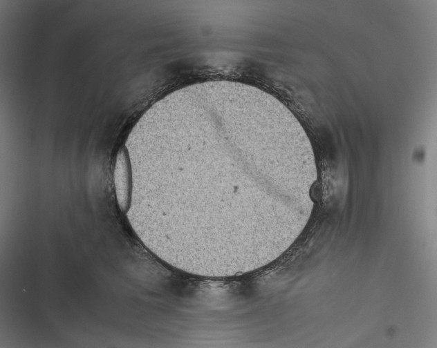 X0000116600613201001081151