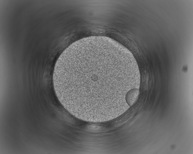 X0000116600614201001081151