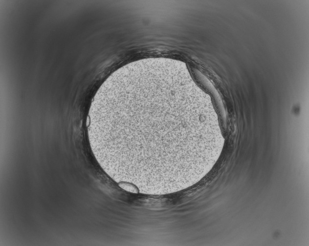 X0000116600615201001081151