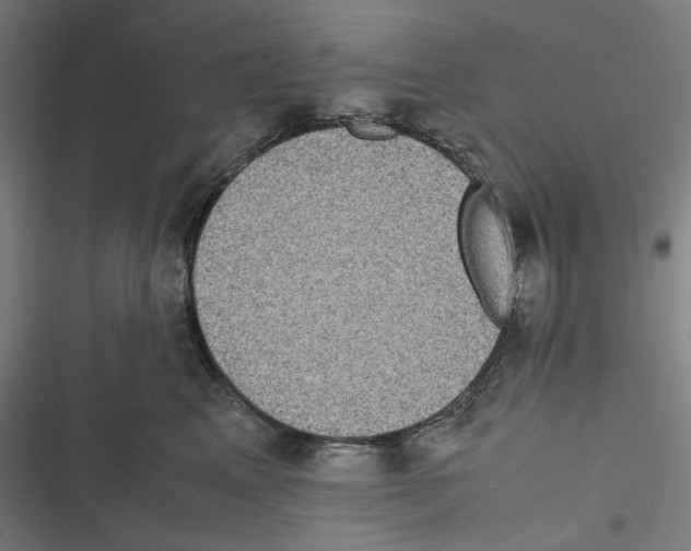 X0000116600617201001081151