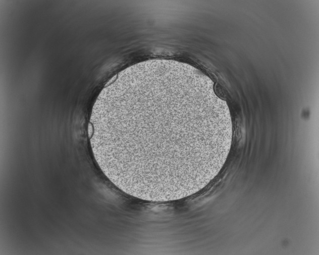 X0000116600619201001081151