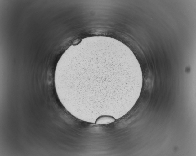 X0000116600620201001081151