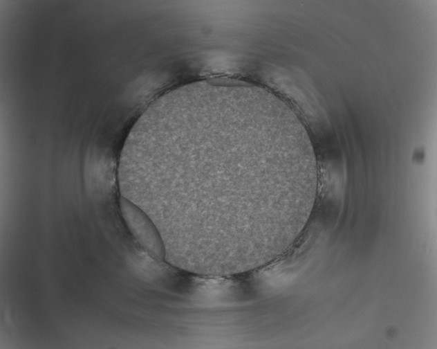 X0000116600621201001081151