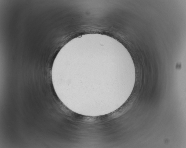 X0000116600624201001081151