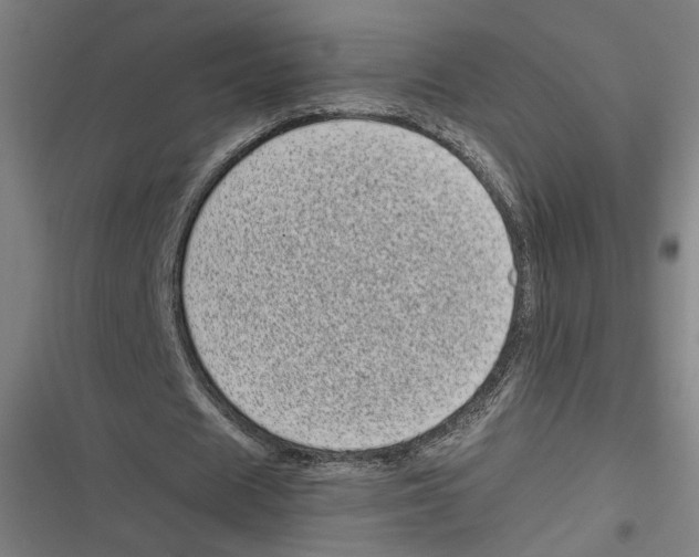 X0000116600625201001081150