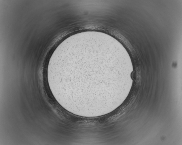 X0000116600626201001081150