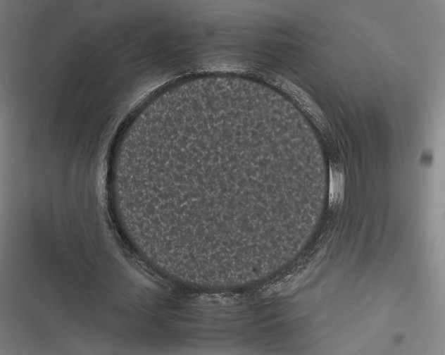 X0000116600627201001081150