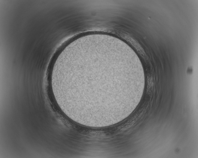 X0000116600628201001081150