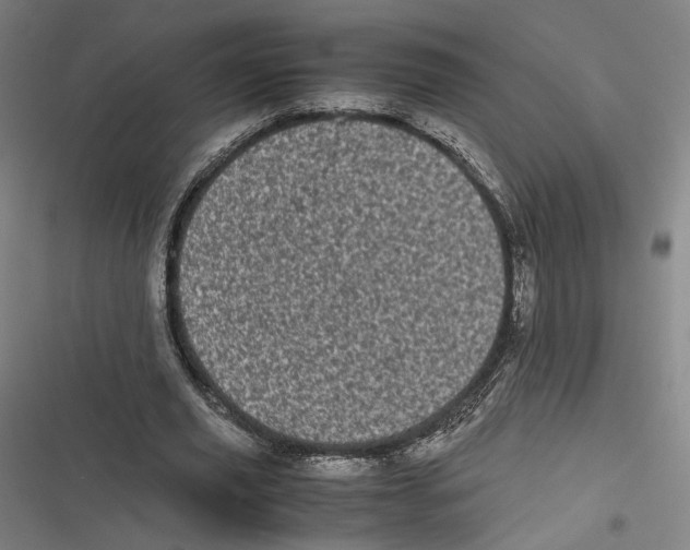X0000116600629201001081150