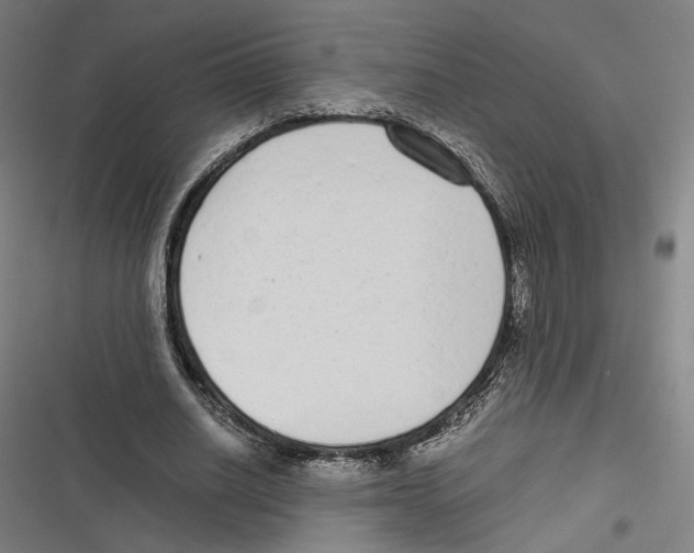 X0000116600630201001081150