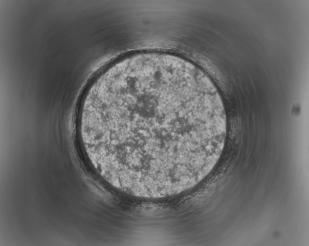 X0000116600632201001081150