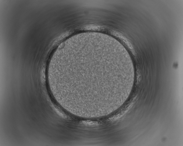 X0000116600633201001081150