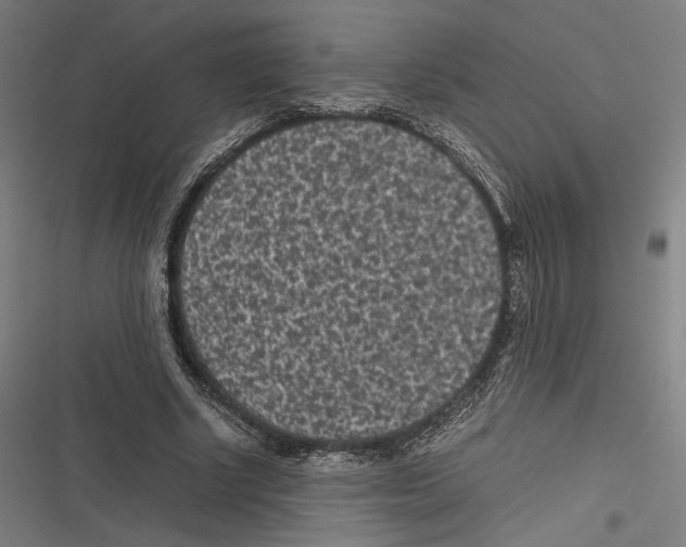 X0000116600634201001081150