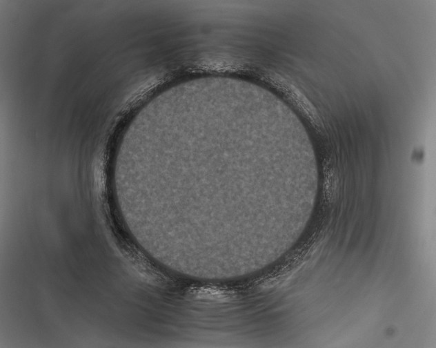 X0000116600635201001081150