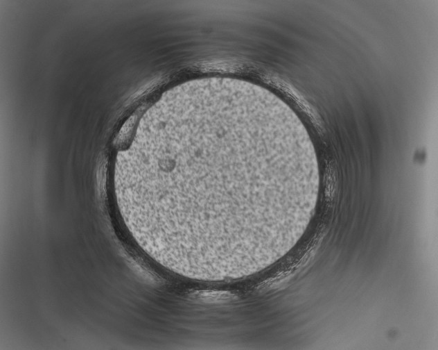 X0000116600637201001081150