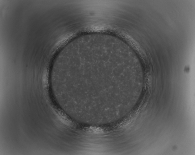 X0000116600640201001081150
