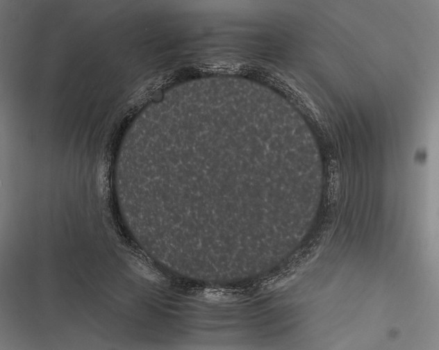 X0000116600641201001081150